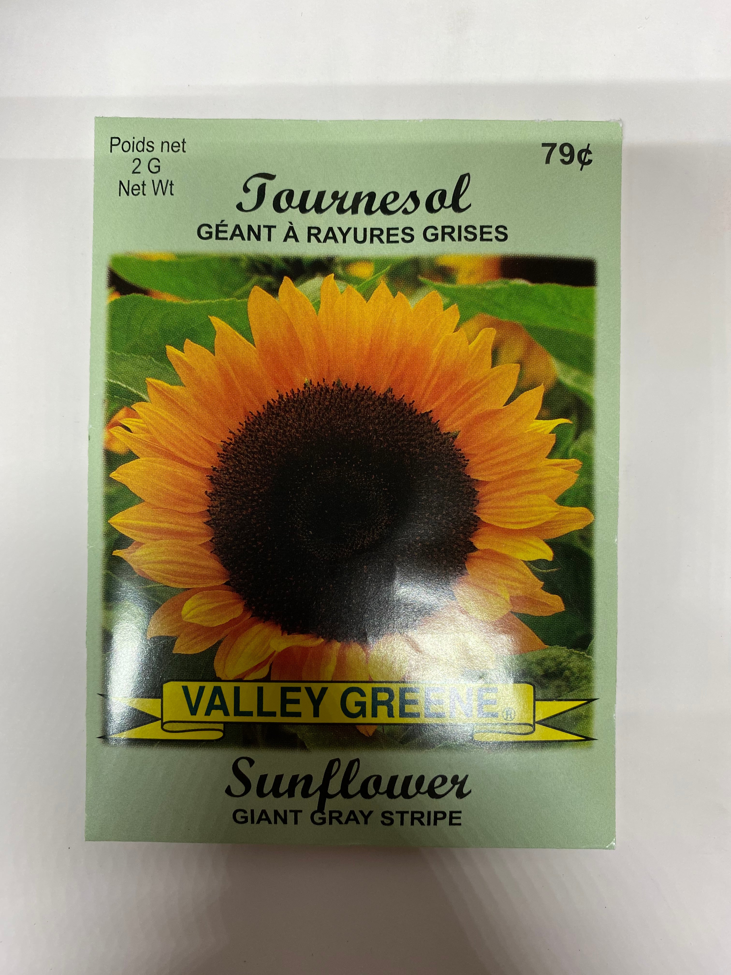 Sunflower Giant Gray Stripe Valley Greene - Brantford Surplus