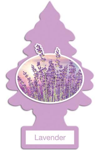 Little Tree Lavender (1pk)