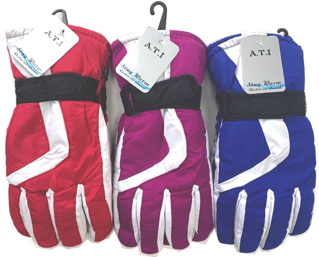 Ski Gloves Ladies Asst. - Brantford Surplus