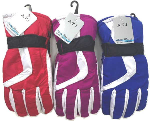 Ski Gloves Ladies Asst.