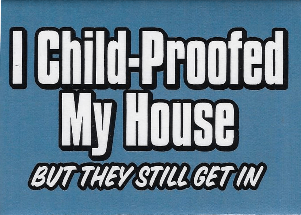 Funny Magnets - Brantford Surplus