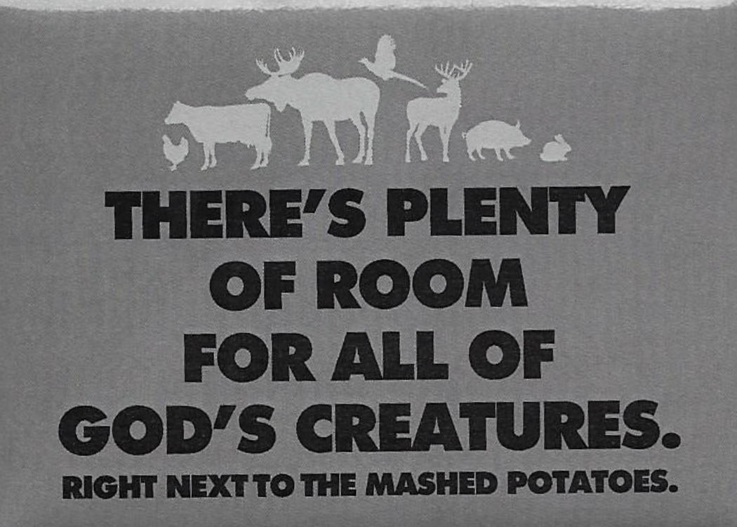 Funny Magnets - Brantford Surplus