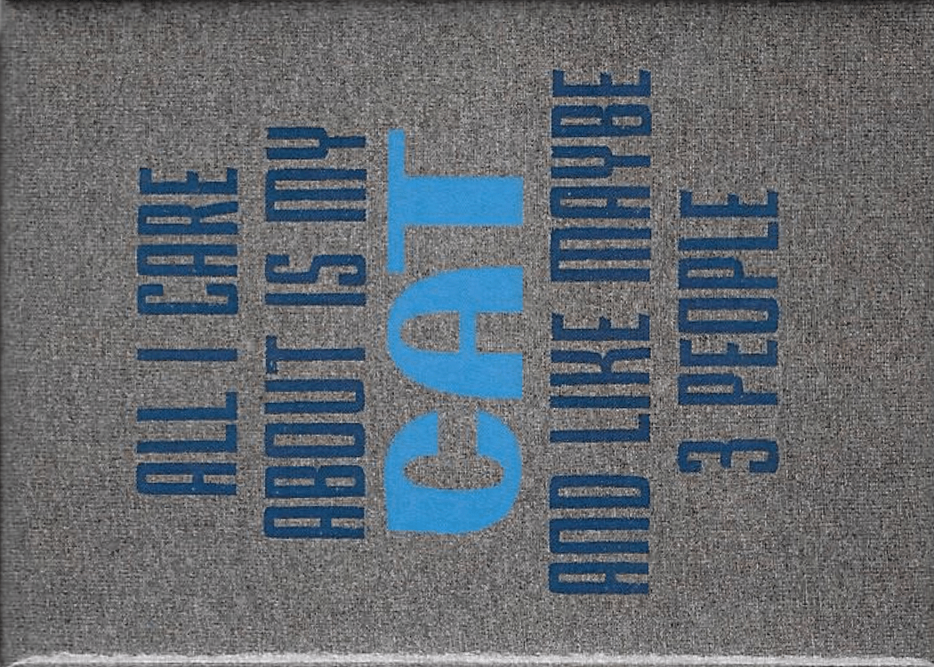 Funny Magnets - Brantford Surplus