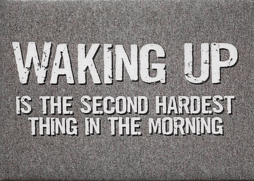 Funny Magnets - Brantford Surplus