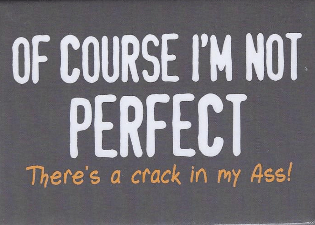 Funny Magnets - Brantford Surplus