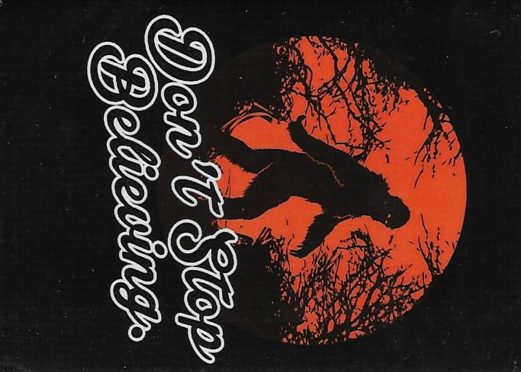 Funny Magnets - Brantford Surplus