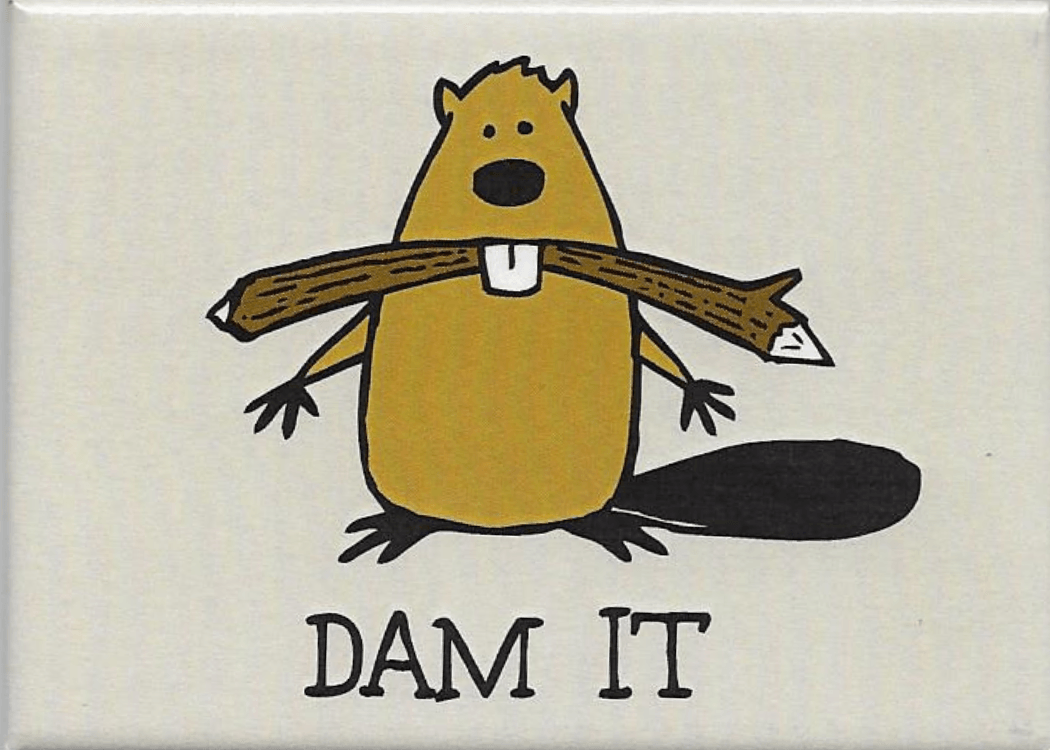 Funny Magnets - Brantford Surplus