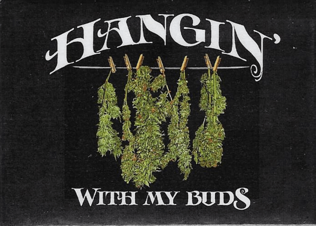 Funny Magnets - Brantford Surplus