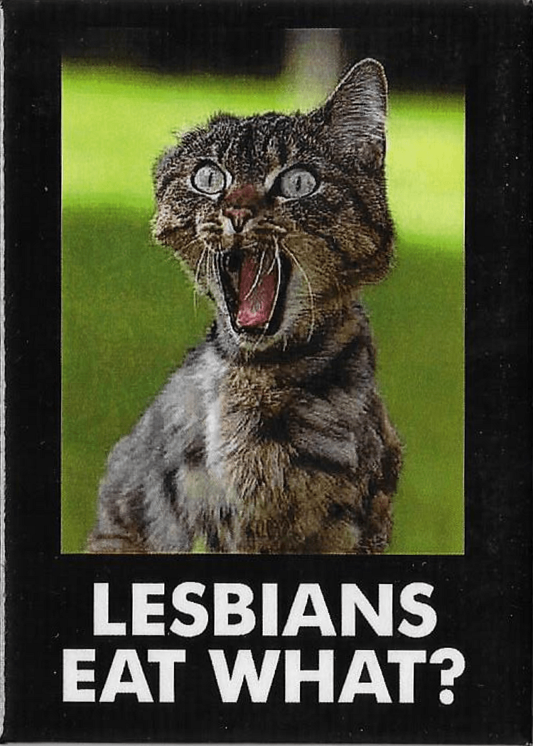 Funny Magnets - Brantford Surplus