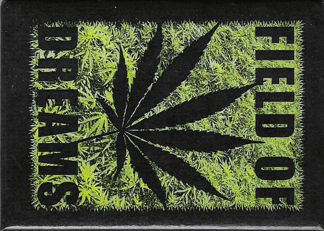 Funny Magnets - Brantford Surplus