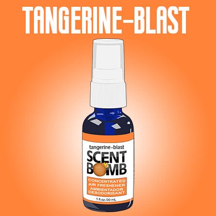 Scent Bomb Spray Bottles Airfreshener  30ml. Sold individually - Brantford Surplus